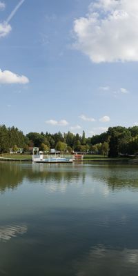 Alerte aux cyanobactéries